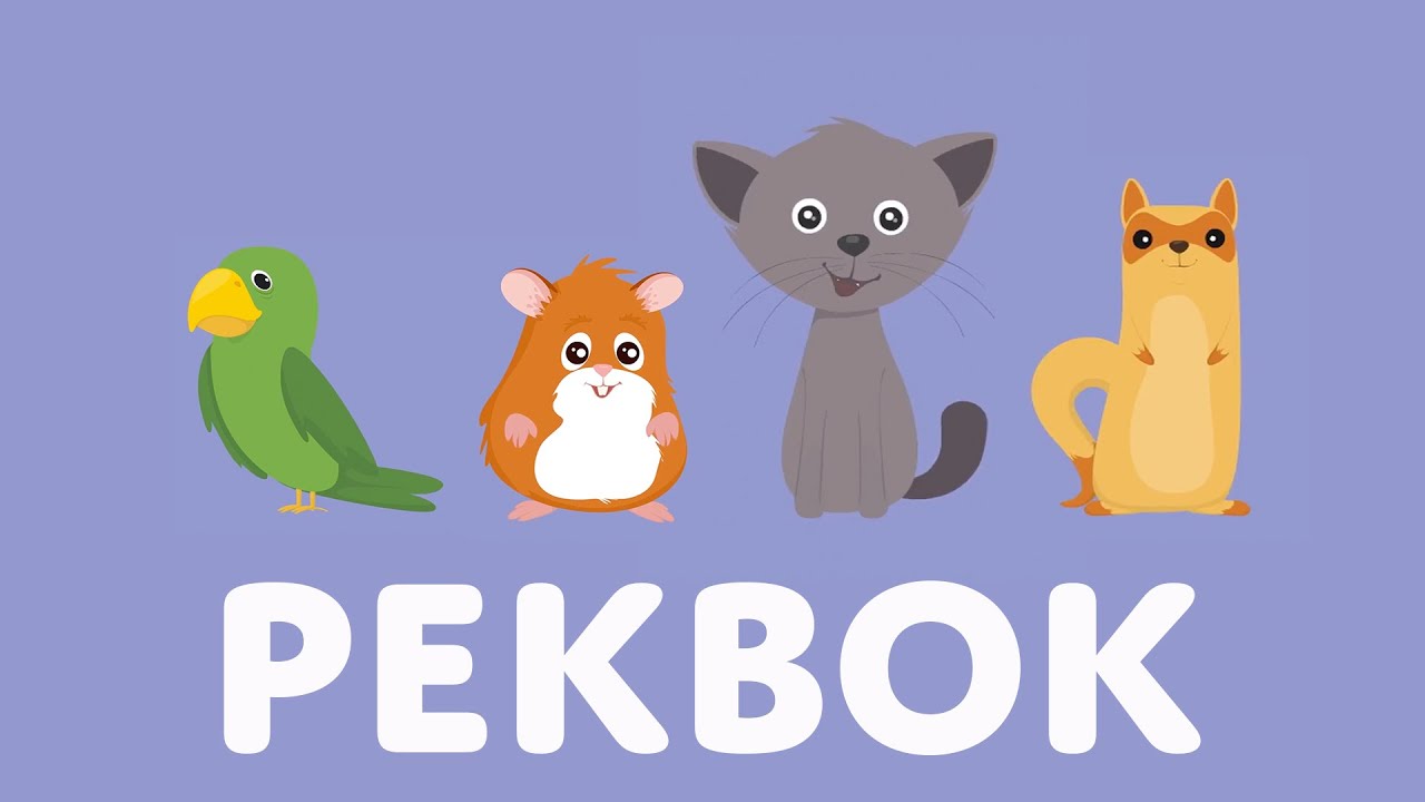 Pekbok Med Djur | L&auml;r Dig Djurens Namn och L&auml;ten | Barnens ABC | Utbildande Barnprogram