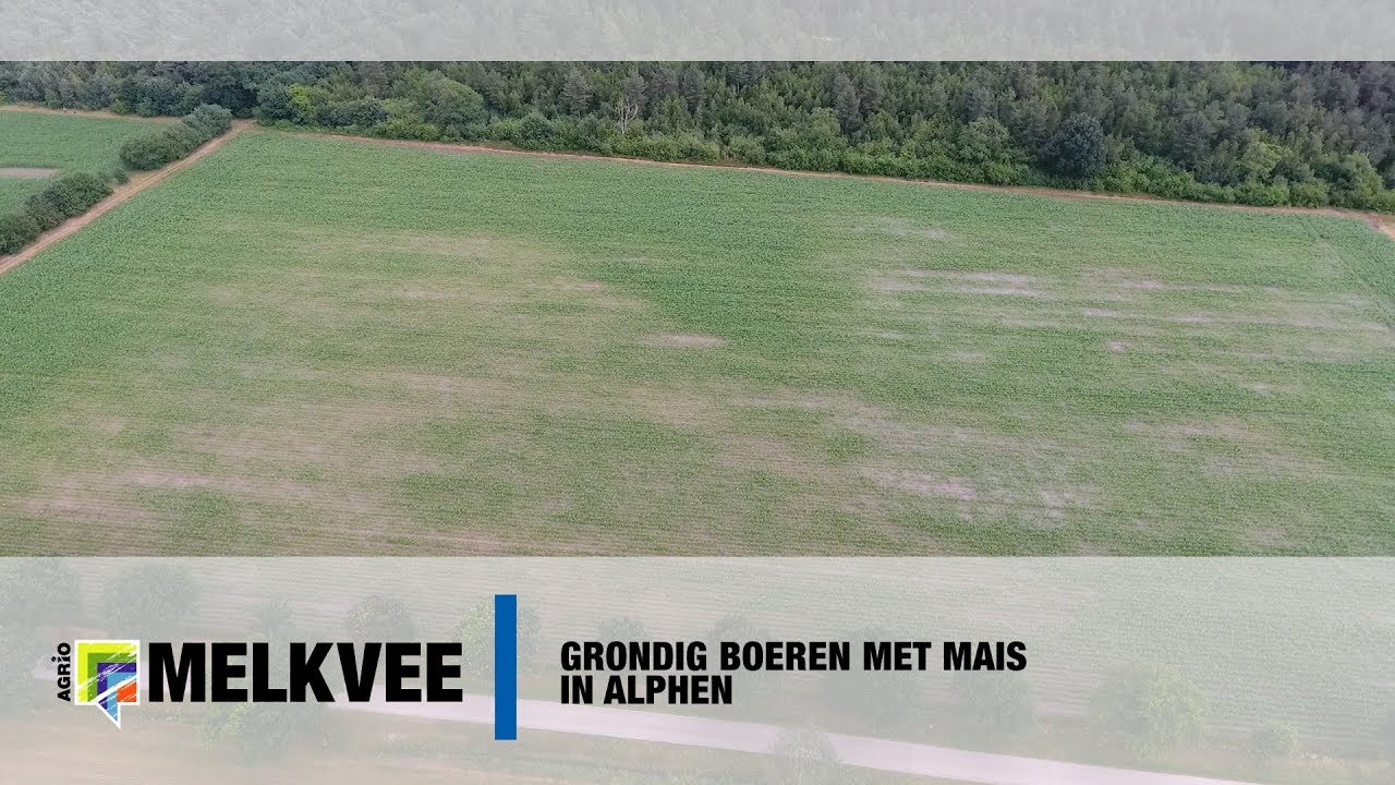 Experimenteren met maïsteelt zonder mest