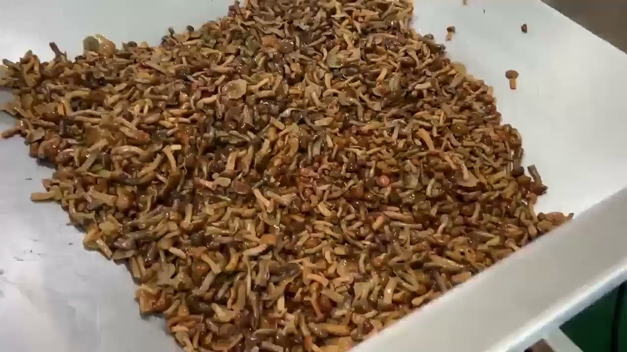 [버섯포장]조합식계량기 Combination Weigher