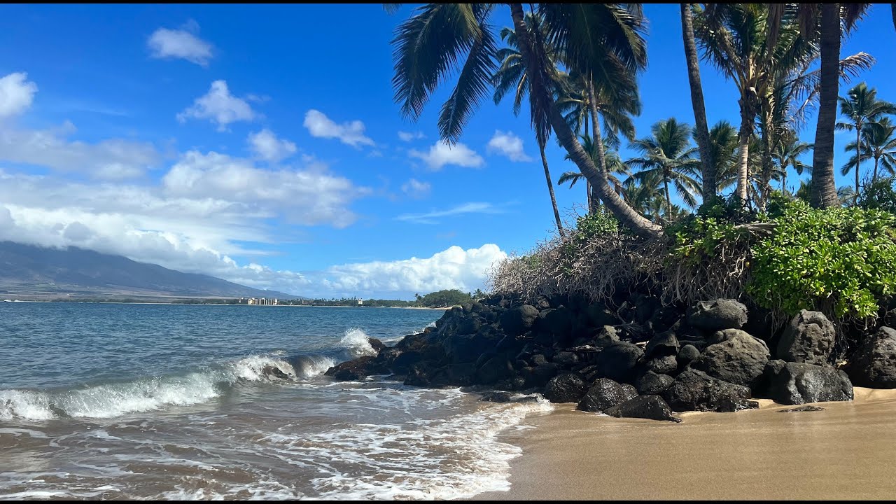 Maui 2022