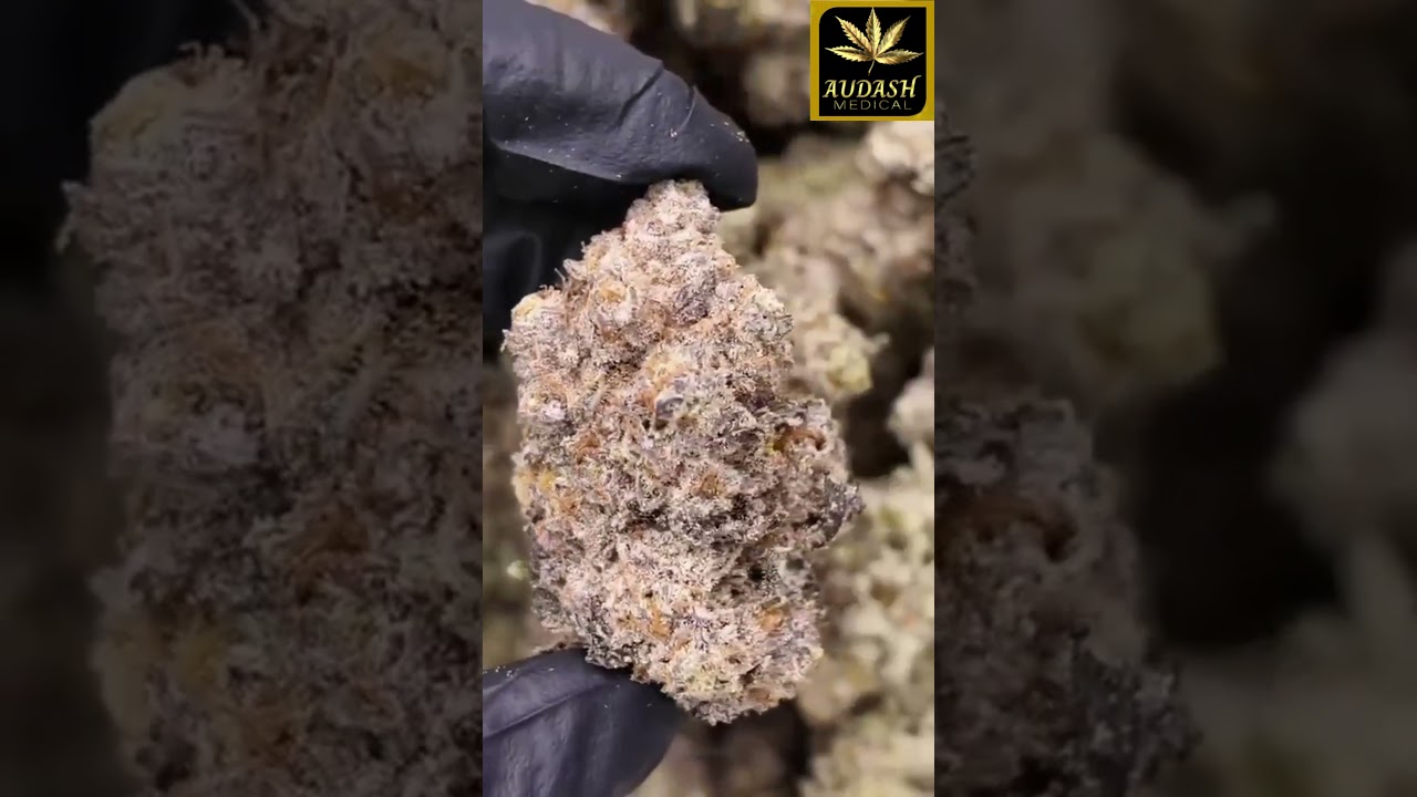 Audash Strains