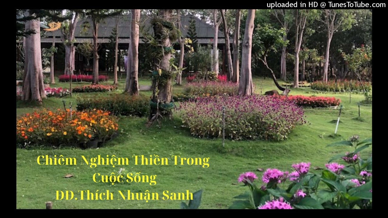 Chiêm Nghiệm Thiền Trong Cuộc Sống (Phần 1)_ĐĐ.Thích Nhuận Sanh_Thiền Viện Bồ Đề