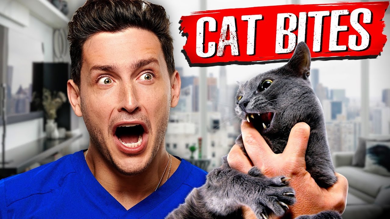 Why Cat Bites Are Actually So Dangerous | RTC 35