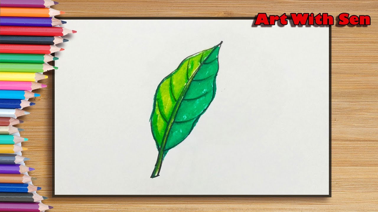 How to draw a Leaf (very easy)| एक पत्ता कैसे आकर्षित करें| Comment dessiner une feuille| পাতা ড্রয়ং
