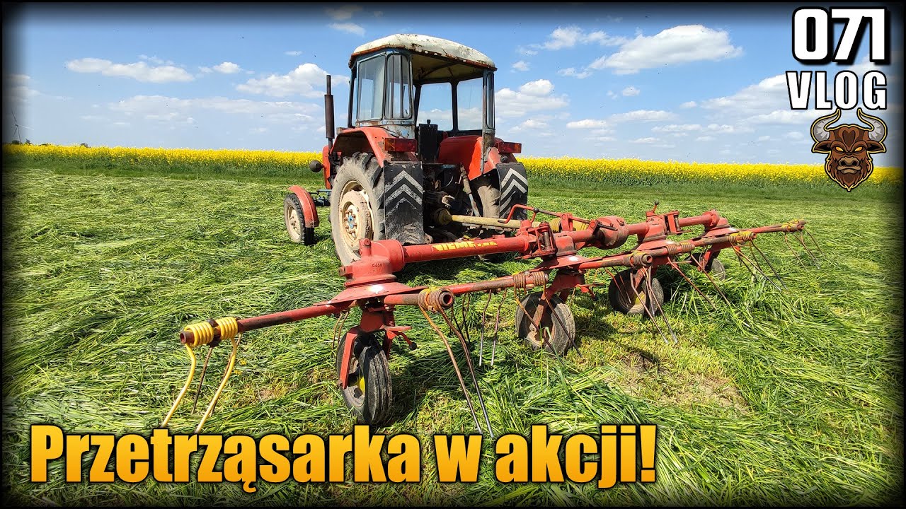 Przetrząsanie trawy 