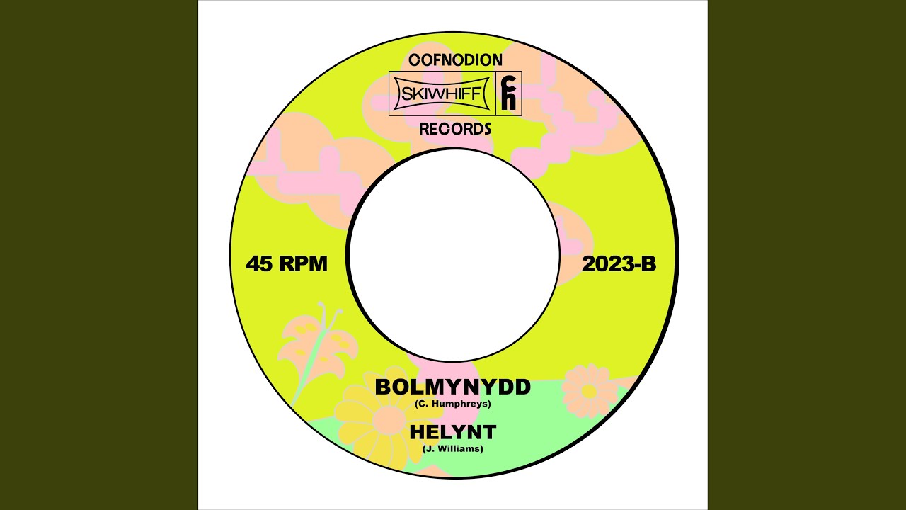 Bolmynydd