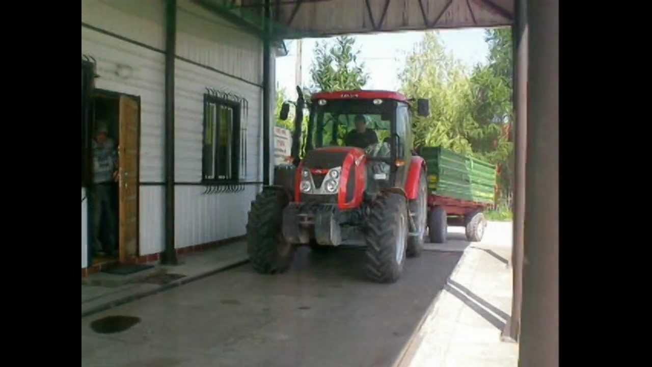 Wywóz Zboża 2012 // Zetor Proxima85 // Pronar T653/2 // Case Jx95 // Ruska Przyczepa // - Kaliski