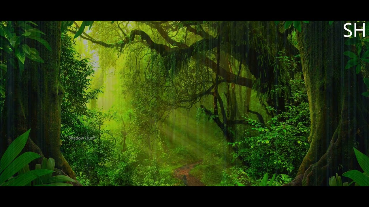 Nature|| Calm Music