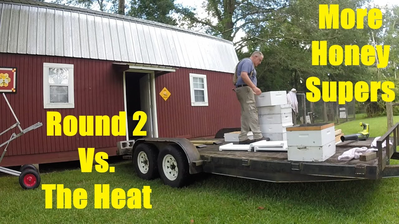 Removing Supers of Ripe Honey