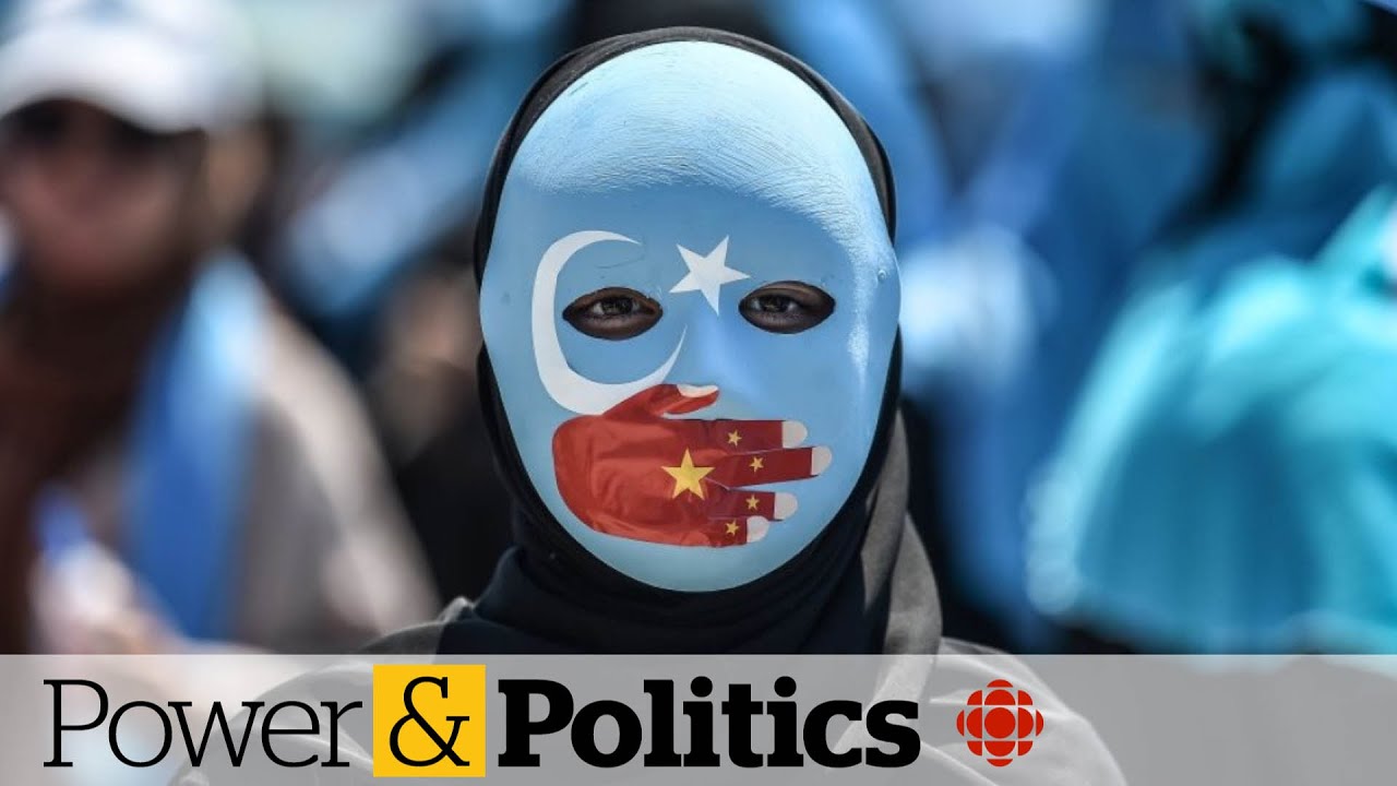 UN Uyghur report 'damning' for China: former ambassador