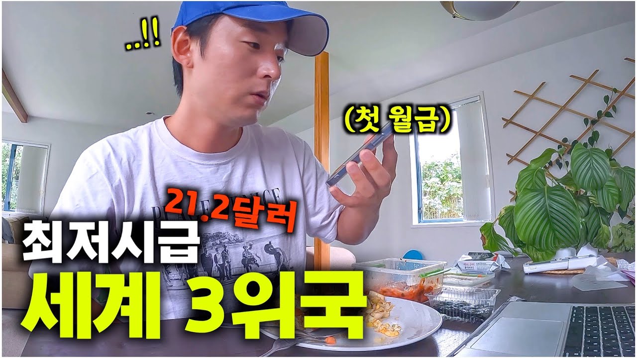 뉴질랜드 워홀러의 월급은? [뉴질랜드15]