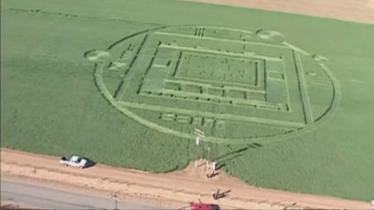 Crop circles in California:  Giant circles appear in Salinas Valley, California, USA