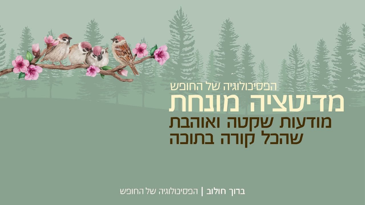 מדיטציה מונחת:  מודעות שקטה ואוהבת שהכל קורה בתוכה | הפסיכולוגיה של החופש