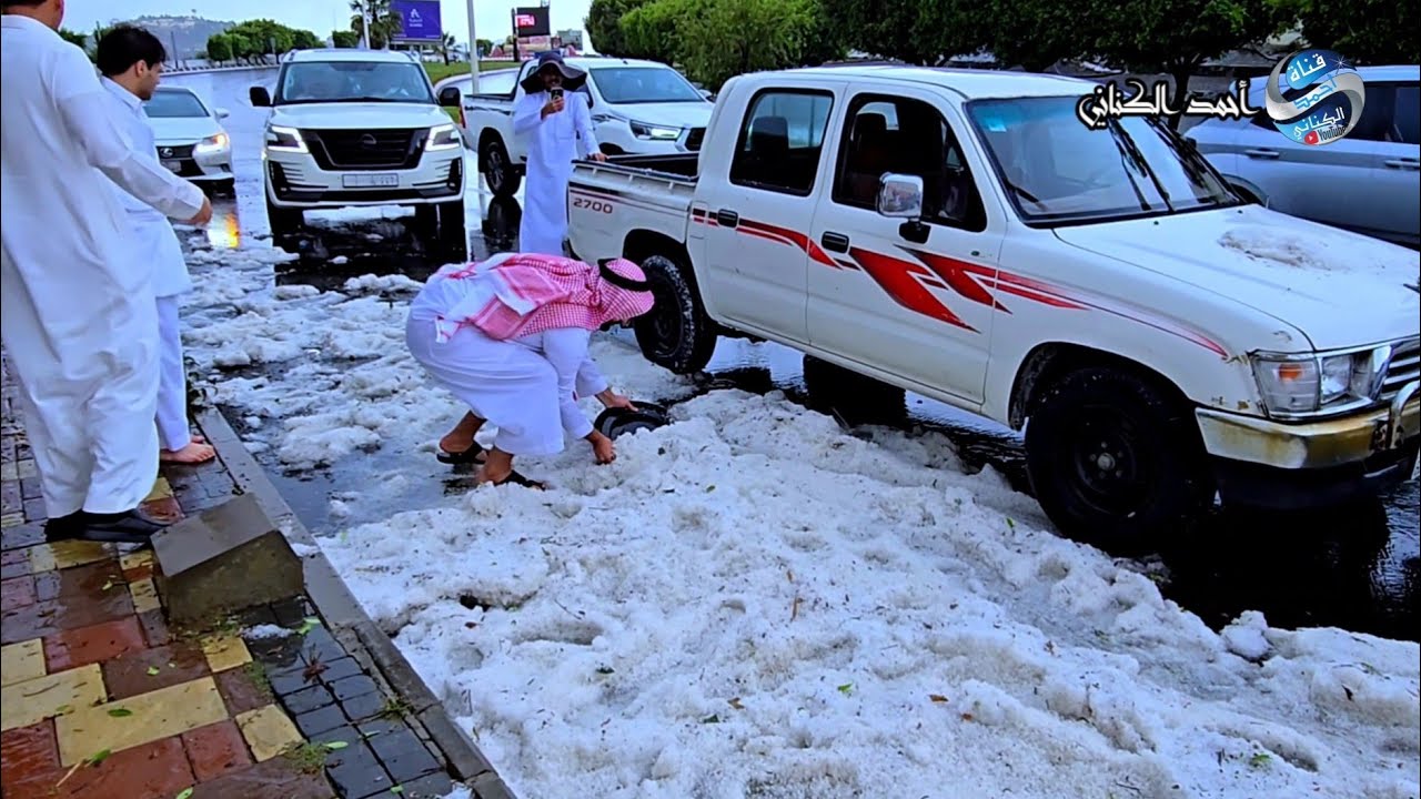 أمطار - الفرعة - بني سار - الباحة - منطقة الباحة - الجمعة 11-11-1446 درجة الحرارة 17#السعودية