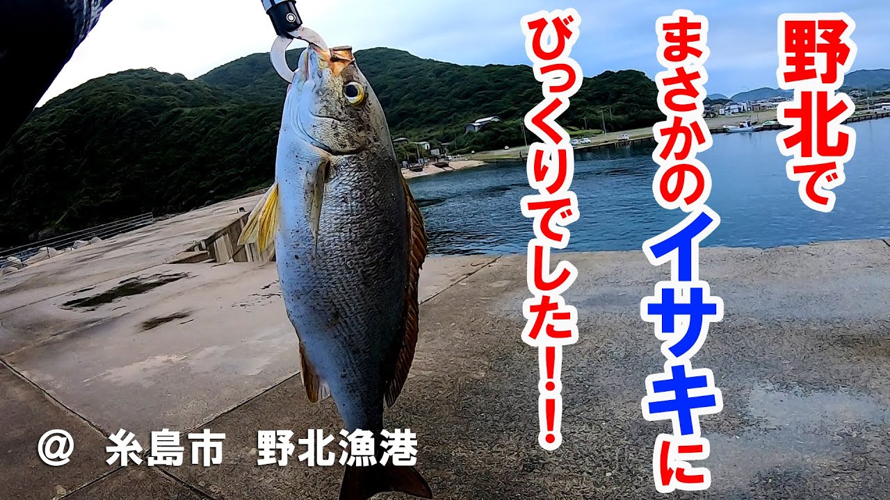 2022年7月下旬　糸島市　野北漁港　釣行