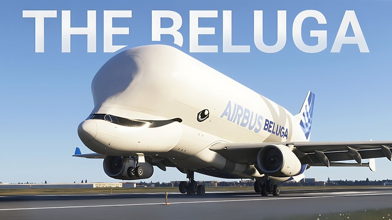 Flying The Beluga to The Airbus Headquarters | MSFS 2024 Cinematic Flight 