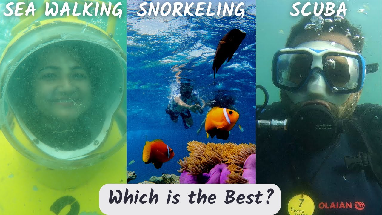 Snorkeling vs Scuba Diving vs Sea Walking Full comparision | Snorkeling | Scuba Diving | Sea Walking