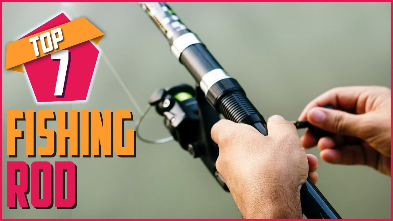 Top 7 Best Fishing Rods For Beginners To Advanced