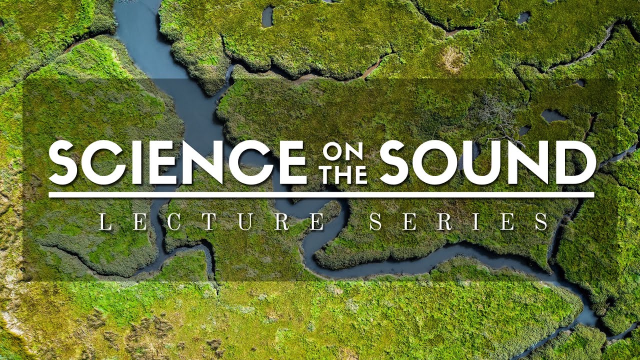 Predicting Surf on the Outer Banks with the Surfline Forecast Team