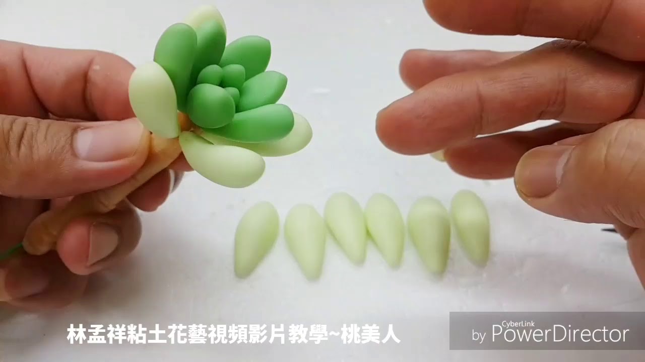 粘土多肉植物/桃美人