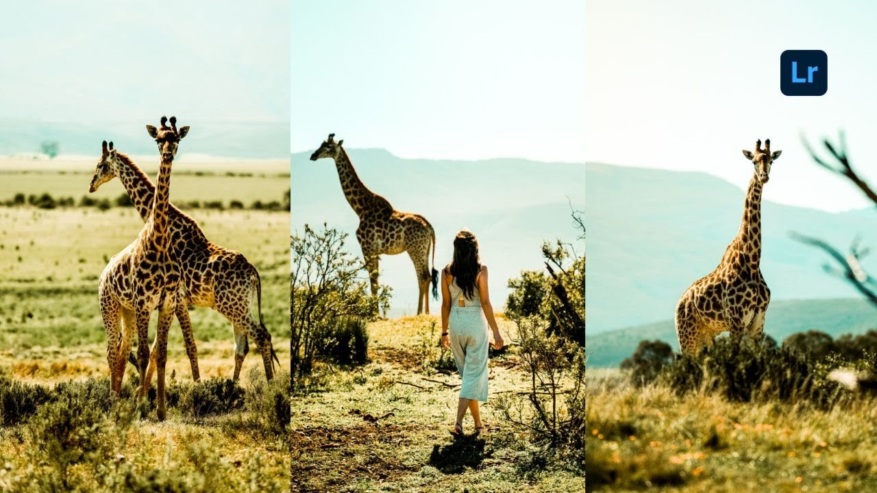 Wildlife Photography Hack: Instantly Enhance Your Shots with This Green Tone Trick!