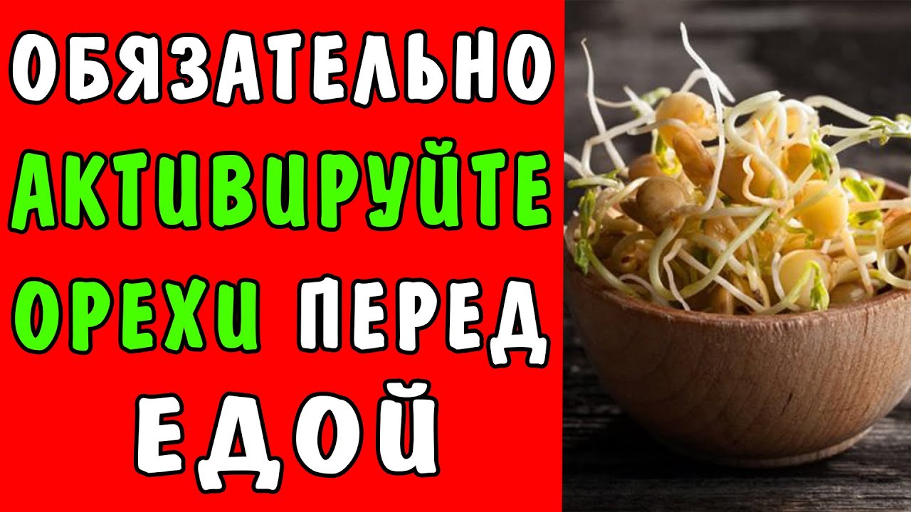 КАК и ЗАЧЕМ АКТИВИРОВАТЬ ОРЕХИ &ndash; Как надо правильно есть орехи, что извлечь МАКСИМУМ ПОЛЬЗЫ