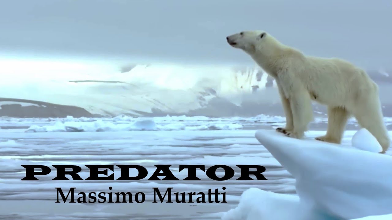Massimo Muratti / PREDATOR