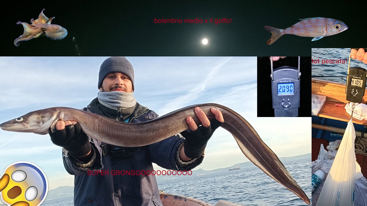 grongo big a bolentino medio e tanto altro per il golfo di napoli!