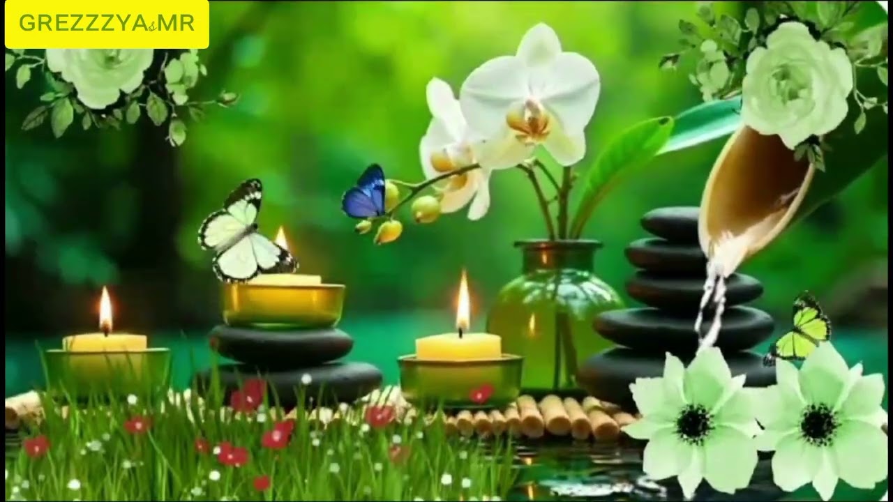 Very Relaxing Quiet n Calming Piano Music Wirh Water Flowing 🎶💦 #viral #viral 