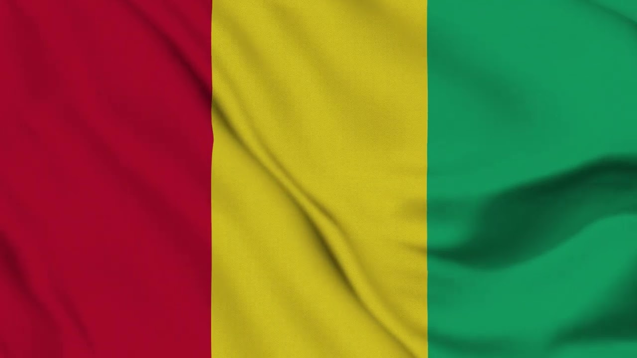 Guinea Flag Waving 4K | Guinean National Flag Animation