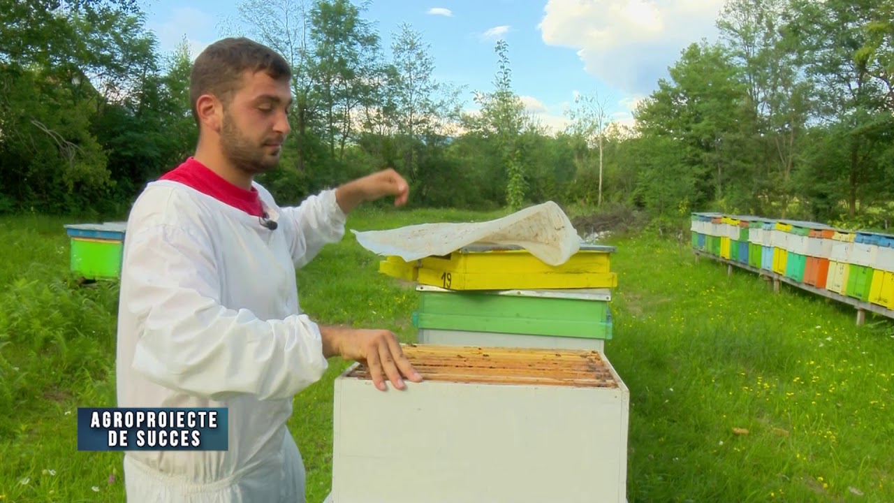Agroproiect de succes - Stupina Cherciu | 01.11.2020