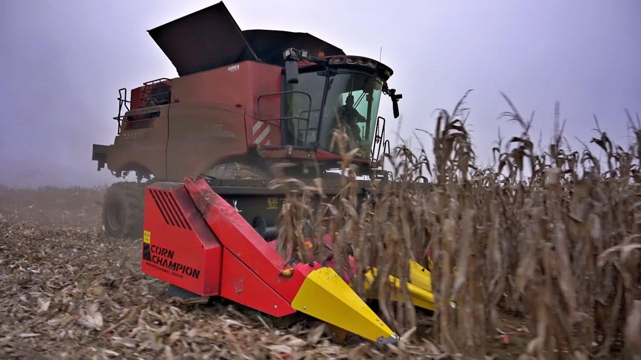 [MOTORSOUND] CASE IH 8250 + 12 rows ZIEGLER Corn Champion | Corn Harvest 2022