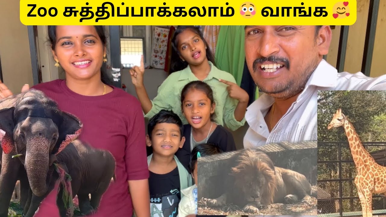 இன்னைக்கு பெங்களூர் zoo போய் சிங்கம் 😳 புலி  எல்லாம் நேர்ல பாத்தோம் 🥰 