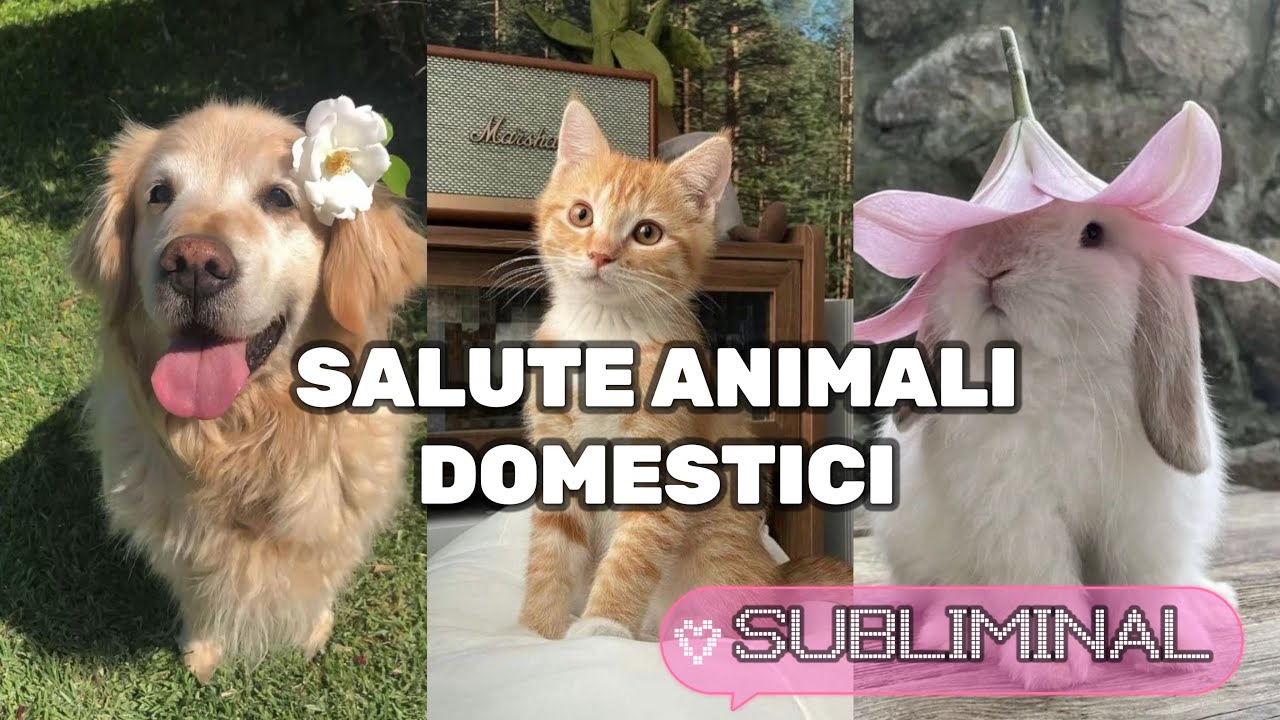 Subliminal - salute degli animali domestici (con suono di fusa) affermazioni positive 