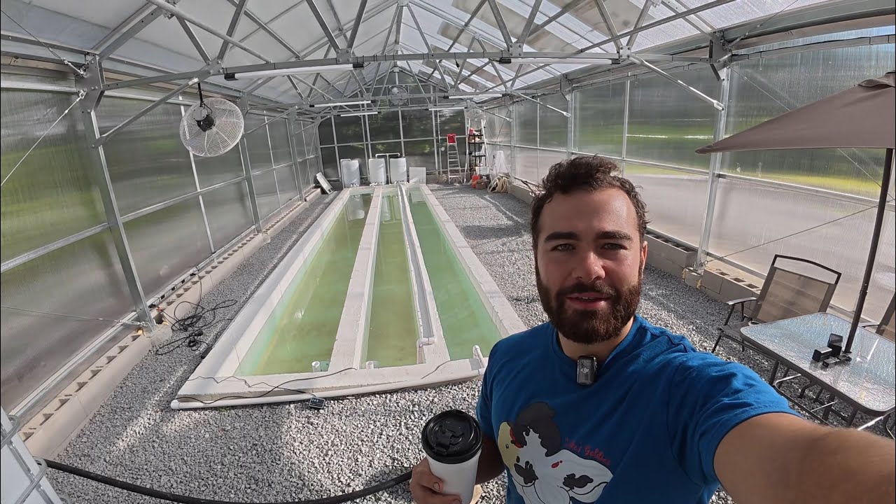 I created a goldfish farm in my greenhouse