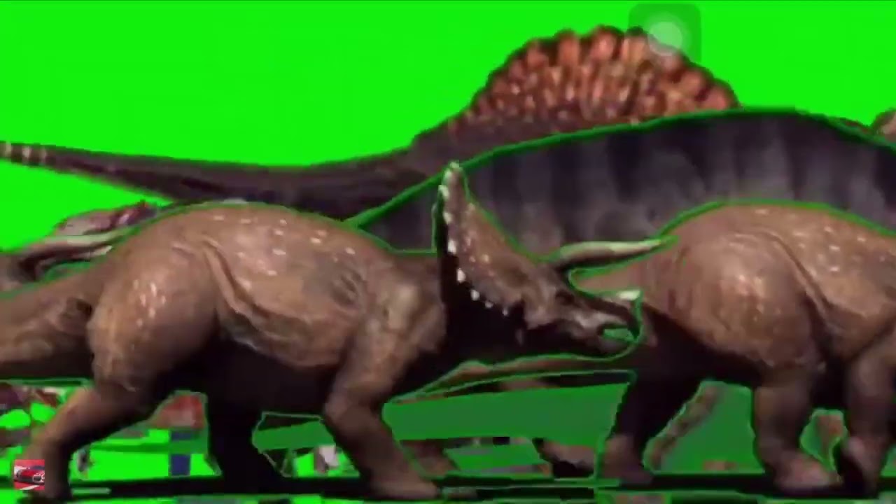 Animals dinosaur stampede 🦖🐅🐢🦩🦛🦉🦅