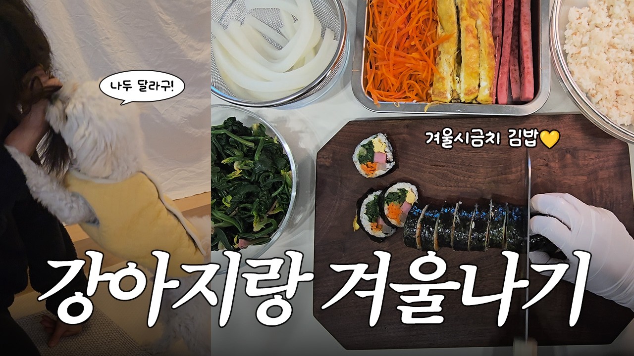 제철음식 먹으며 강아지랑 겨울나기(시금치김밥, 굴찜, 불닭볶음면, 강아지 물간식 추천)