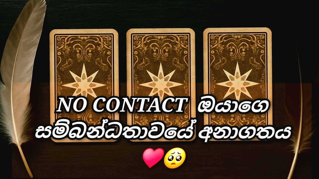 No contact එයා ඔයාට කතා කරයිද ? ♥️🥺ඔයා දැන් මොකක්ද කරන්න ඕනි  #tarotsinhala love reading 