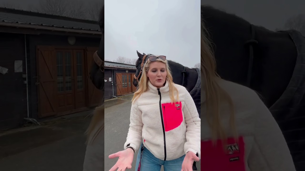 VOUS AVEZ PEUR &Agrave; CHEVAL ?