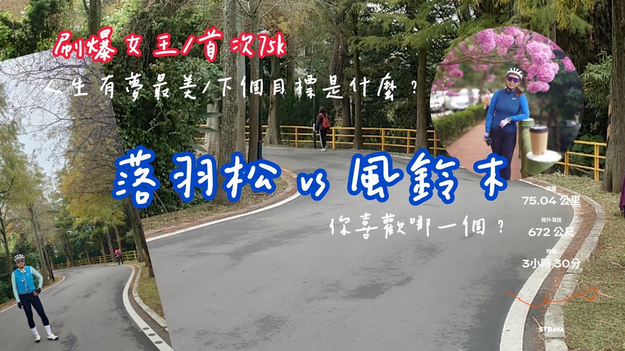 612 桃園的落羽松 vs 新竹風鈴木 | 拉爆女王 | 首次75K