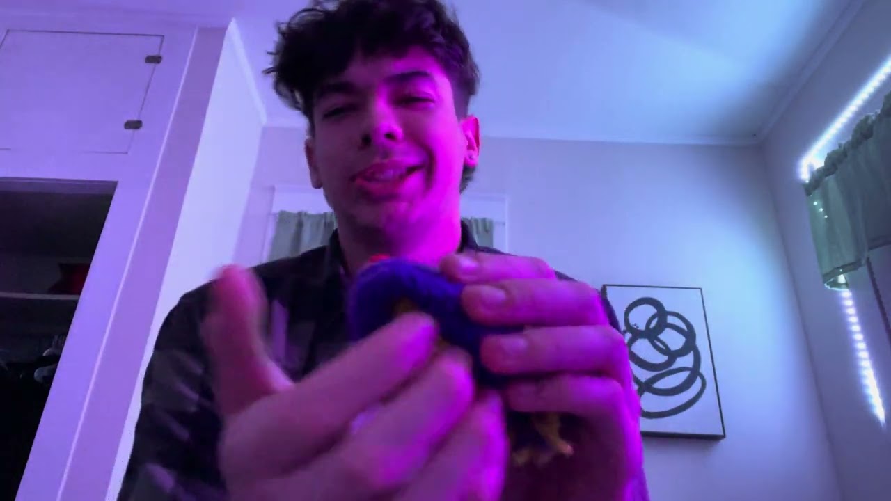 Lofi ASMR Random Triggers