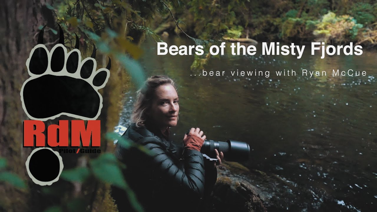 Flying Alaska to the Bears of the Misty Fjords!