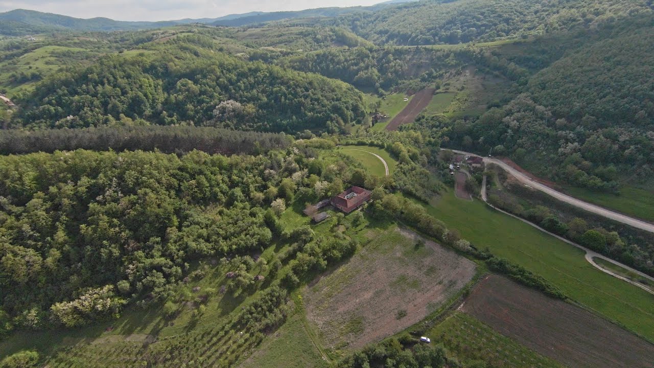 Casă în Dumbrăvița de Codru, Bihor și teren cu suprafața de 8 hectare, de vânzare.
