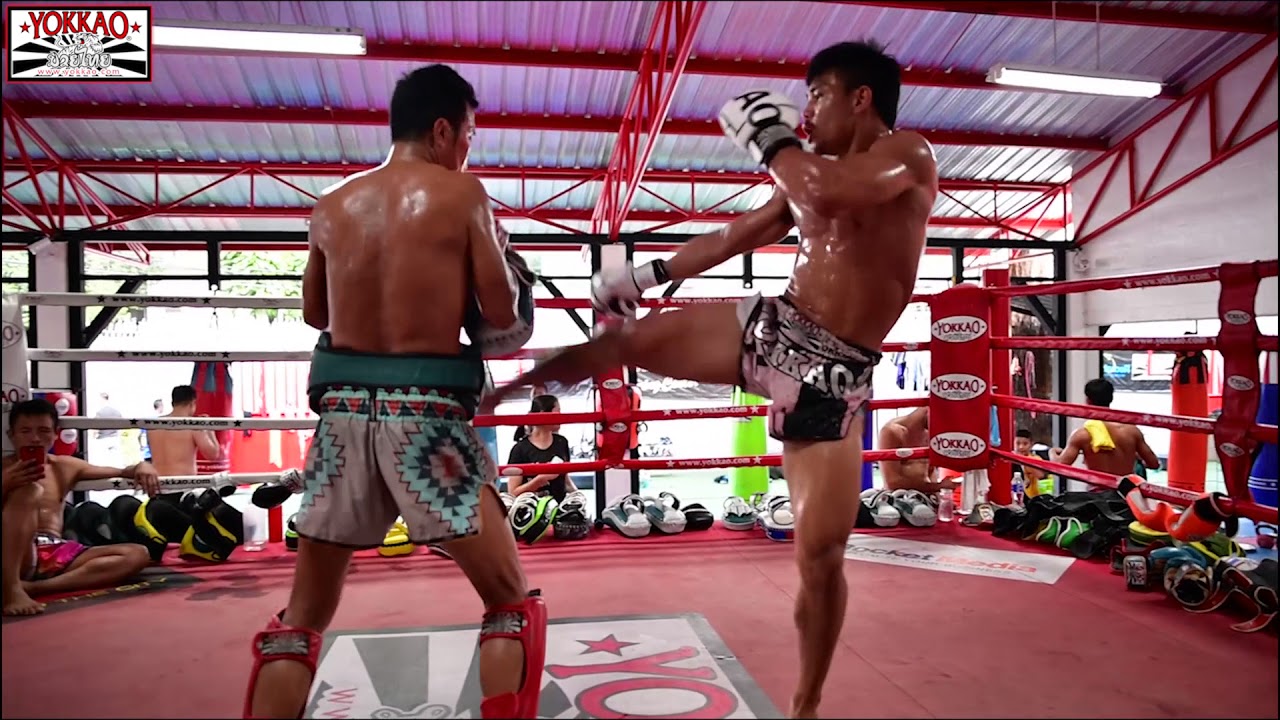 Manachai YOKKAOSaenchaiGym Training and Fights Highlights | Muay Thai Motivation