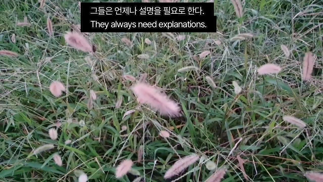 📚👉 어린왕자: 고요한 위로 | 생텍쥐페리 명작 A Gentle Comfort, The Little Prince Saint-Exupéry