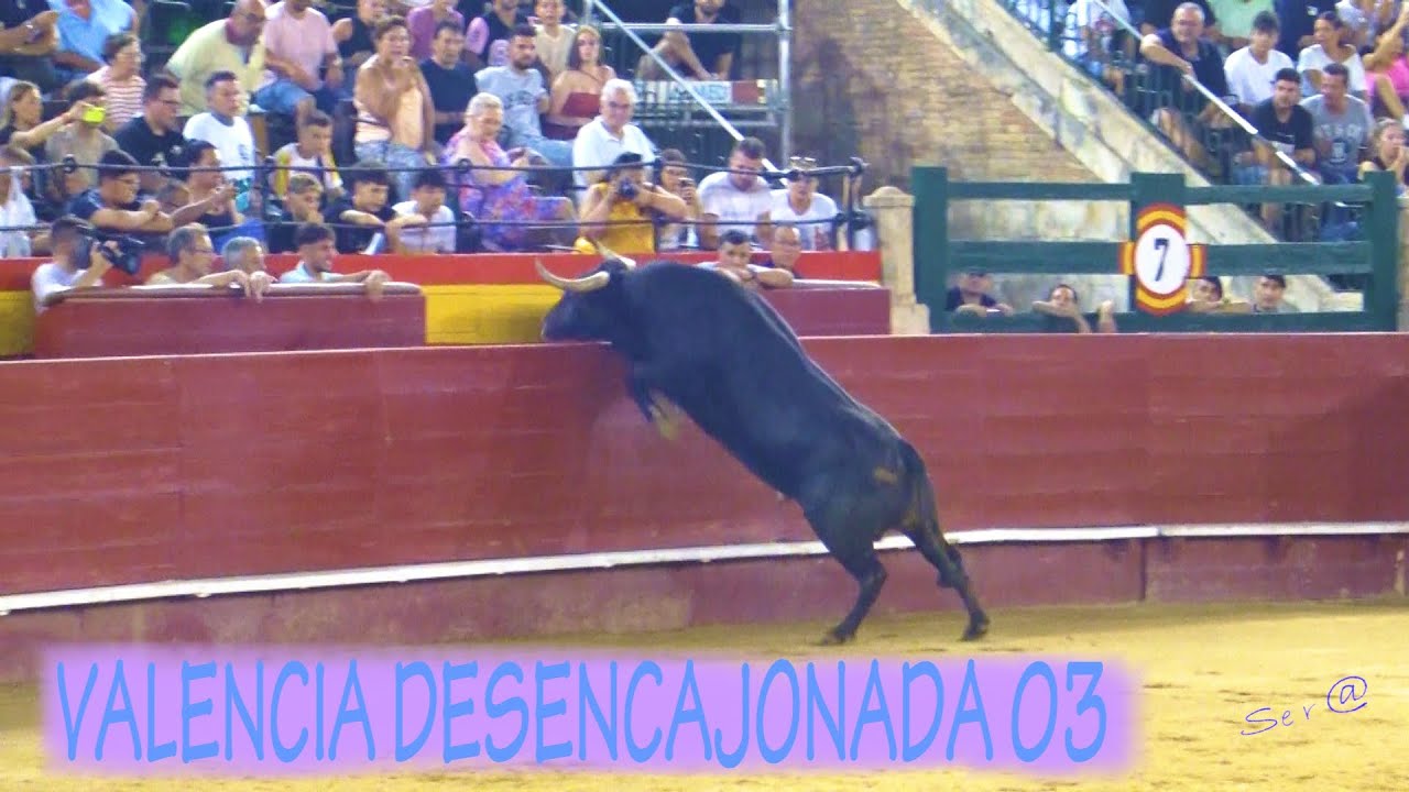 🟢2023 VALENCIA 03 INTEGRO DESENCAJONADA LOS MIURA