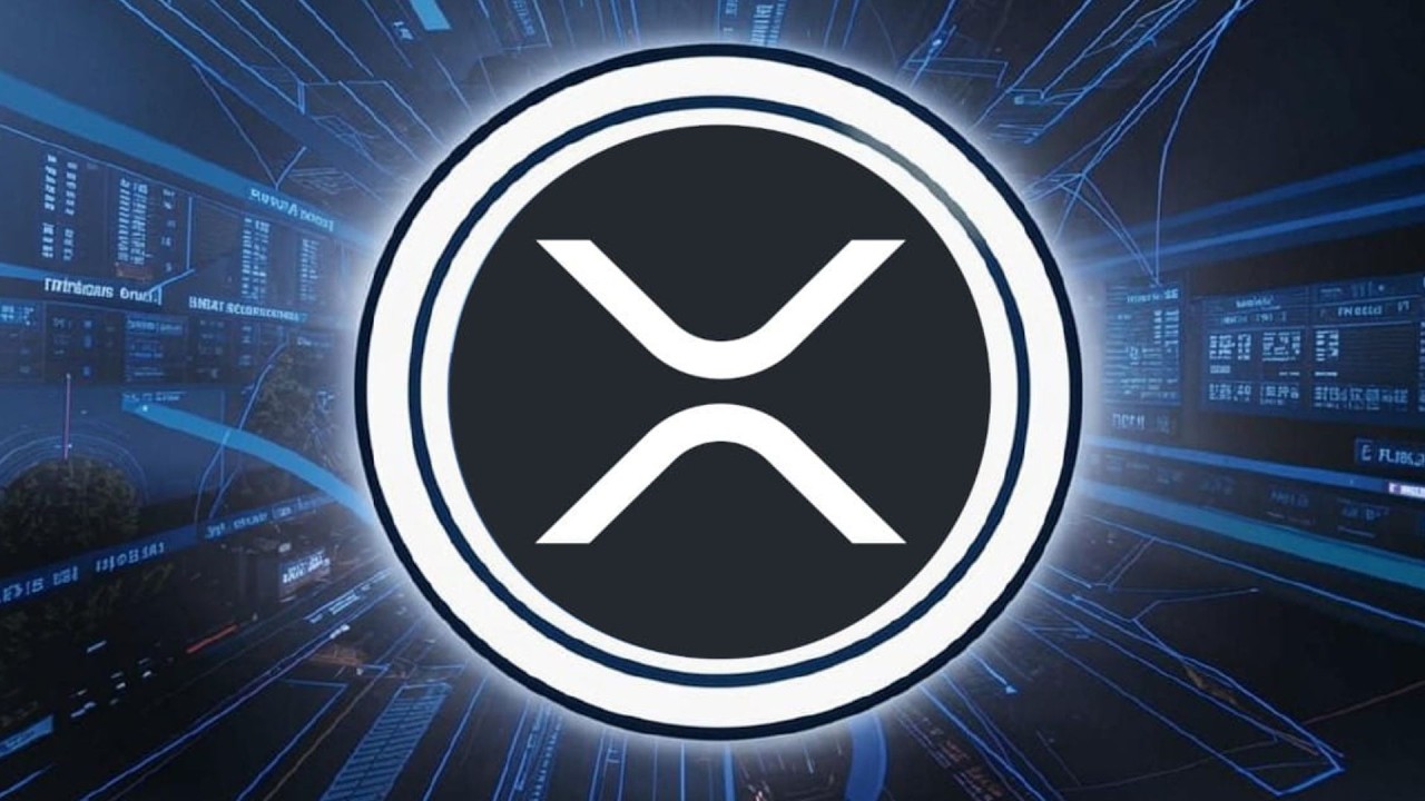 Цена Трампа в XRP!!!! Ripple, опубликуй, а затем удали!!!! Сенсация от XMoney!!! Дэвид Шварц о Са...