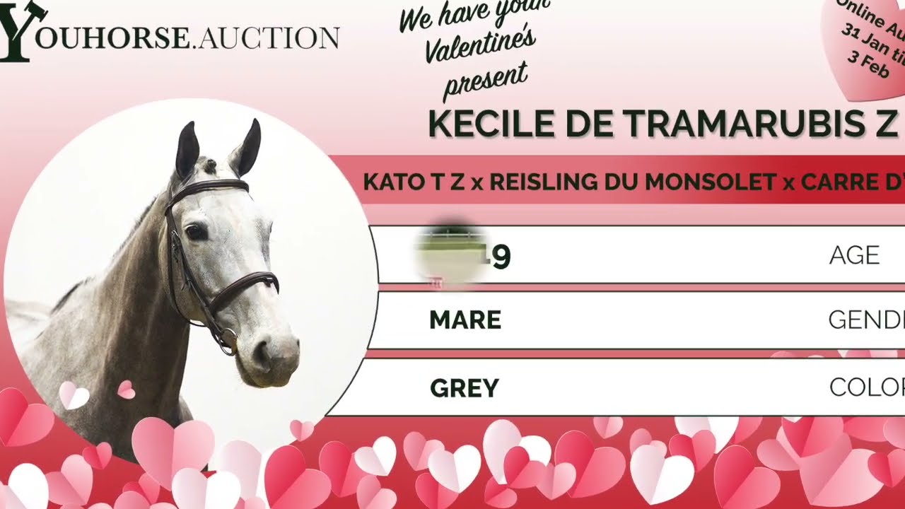 Kécile De Tramarubis Z showvideo