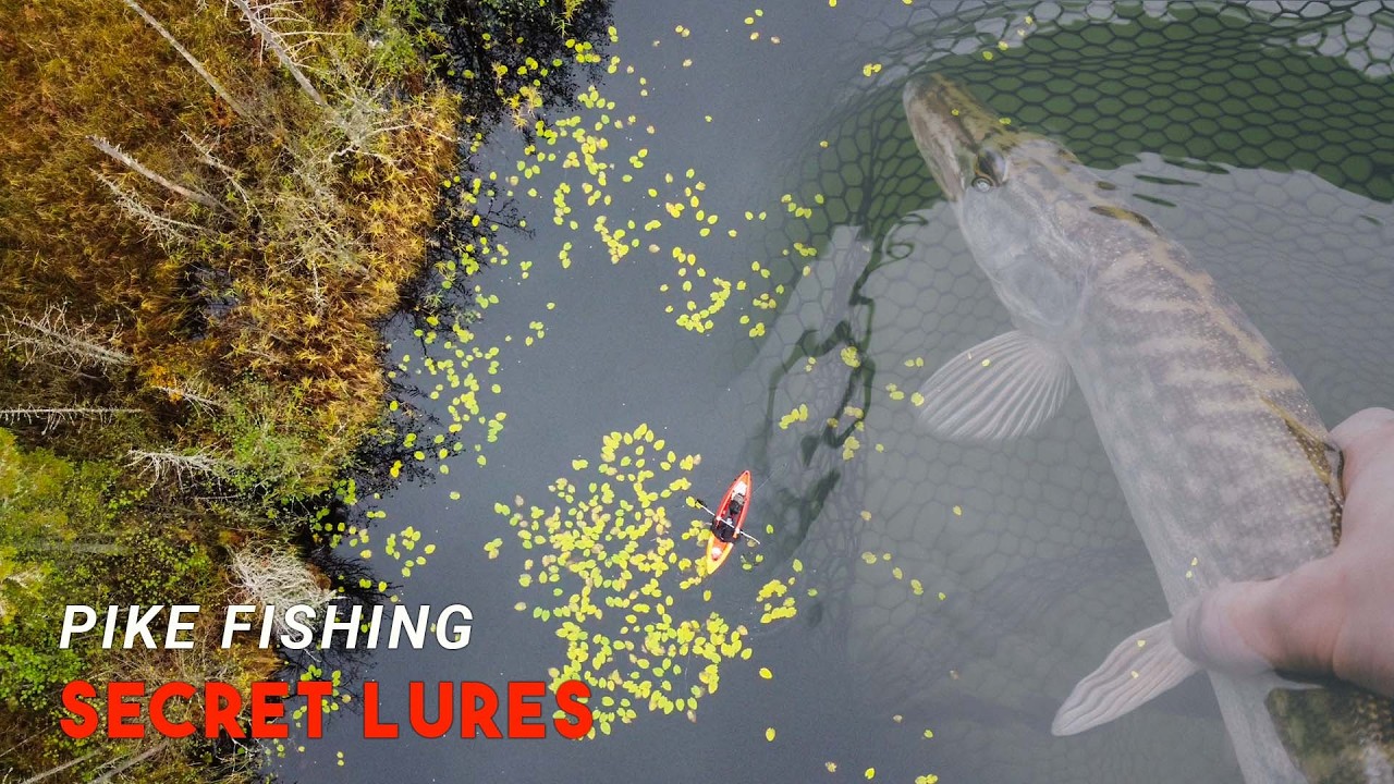 Ловля щуки и окуня на искусственные приманки с использованием секретных приманок! #lurefishing #f...