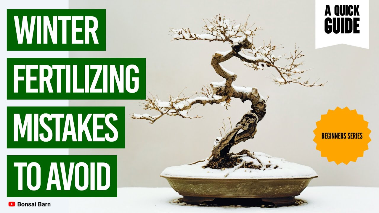 &ldquo;Don&rsquo;t Harm Your Bonsai! Winter Fertilizing Mistakes to Avoid&rdquo;